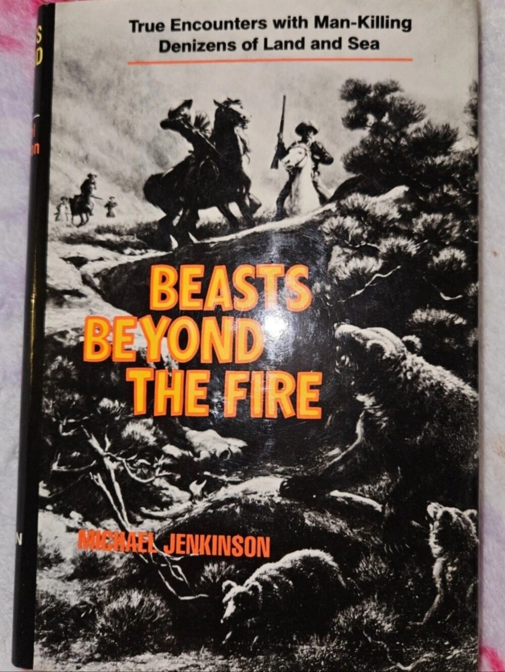 Beasts Beyond the Fire by Michael Jenkinson - Black & Orange Hardcover
